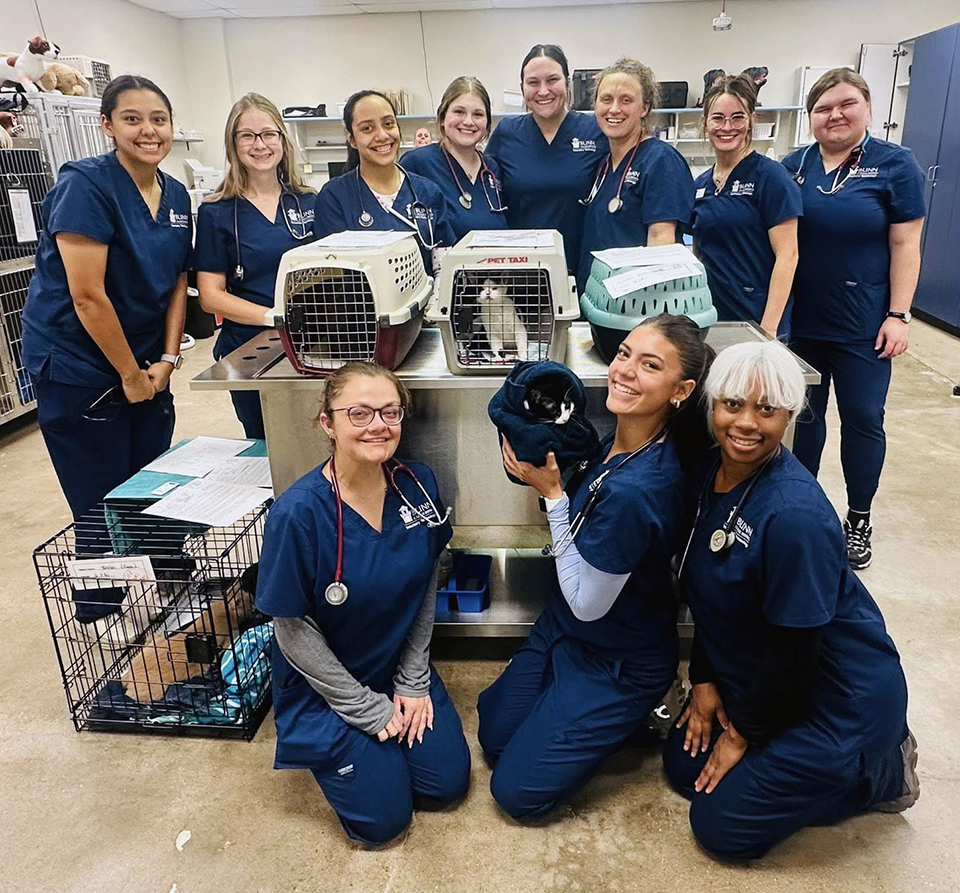 Approximately 20 cats neutered, vaccinated, and screened during Nov. 1 event   